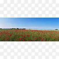 唯美背景摄影风景图-空若网 唯美背景摄影风景图-空若网