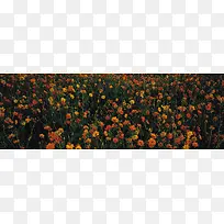 唯美背景摄影风景图-空若网 唯美背景摄影风景图-空若网