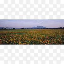 唯美背景摄影风景图-空若网 唯美背景摄影风景图-空若网