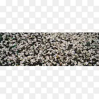 唯美背景摄影风景图-空若网 唯美背景摄影风景图-空若网