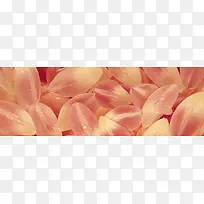 Ψ��������Ӱ�羰ͼ-������