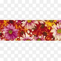 Ψ��������Ӱ�羰ͼ-������