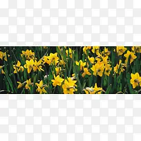 唯美背景摄影风景图-空若网 唯美背景摄影风景图-空若网