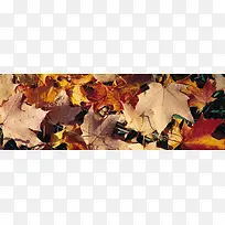 Ψ��������Ӱ�羰ͼ-������