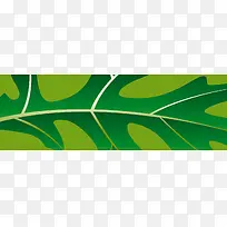 清新banner背景-空若网 清新banner背景-空若网