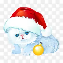 ʥ���ڰ�ɫè��-������