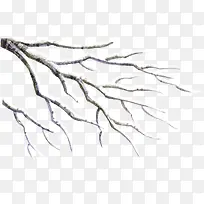 冬季雪景圣诞树枝-空若网 冬季雪景圣诞树枝-空若网