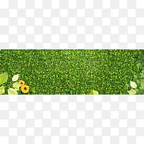 创意小清新背景图-空若网 创意小清新背景图-空若网