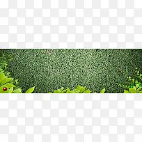 创意小清新背景图-空若网 创意小清新背景图-空若网