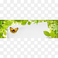 ����ʱ��С���±���-������