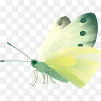 绚丽时尚绿色蝴蝶-空若网 绚丽时尚绿色蝴蝶-空若网