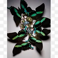 高清摄影创意元素绿色蝴蝶-空若网 高清摄影创意元素绿色蝴蝶-空若网