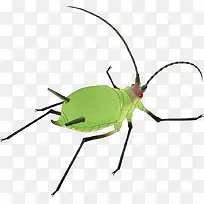 矢量手绘绿色虫子-空若网 矢量手绘绿色虫子-空若网