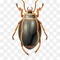 À¥³æÊ¸Á¿Í¼-¿ÕÈôÍø À¥³æÊ¸Á¿Í¼-¿ÕÈôÍø