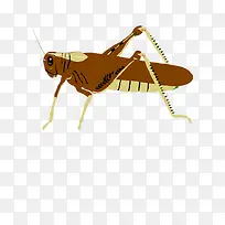 卡通手绘昆虫-空若网 卡通手绘昆虫-空若网