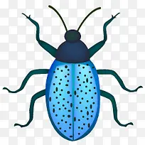 昆虫-空若网 昆虫-空若网