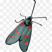 ʸ�����ѳ�������-������