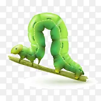 矢量青虫素材-空若网 矢量青虫素材-空若网