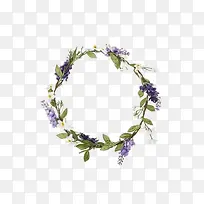 ޹�²ݻ���-������