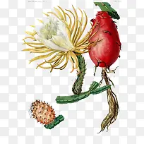 �ֻ������-������