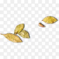 高清摄影黄色的树叶-空若网 高清摄影黄色的树叶-空若网