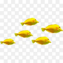 手绘黄色可爱鱼儿-空若网 手绘黄色可爱鱼儿-空若网