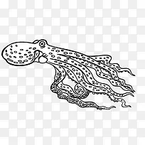 手绘 章鱼-空若网 手绘 章鱼-空若网