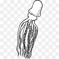 手绘 章鱼-空若网 手绘 章鱼-空若网