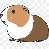 手绘豚鼠-空若网 手绘豚鼠-空若网