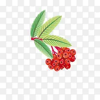 鼠绘水果-空若网 鼠绘水果-空若网