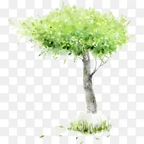 手绘水彩树木海报-空若网 手绘水彩树木海报-空若网