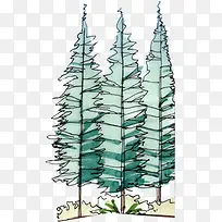 手绘水彩高大树木-空若网 手绘水彩高大树木-空若网