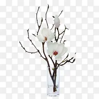 ֲ�ﻨ��׻�-������