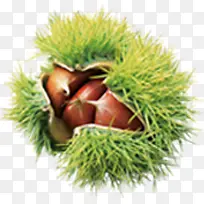 绿色天然毛丹水果-空若网 绿色天然毛丹水果-空若网