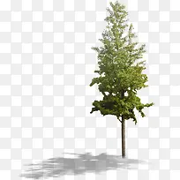 高清创意黄色的树木合成摄影-空若网 高清创意黄色的树木合成摄影-空若网