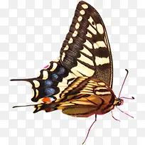 Ψ��ʱ�д���������-������