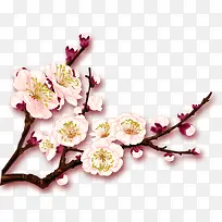 õ¹å»¨Ê¸Á¿Í¼Æ¬ËزÄ-¿ÕÈôÍø õ¹å»¨Ê¸Á¿Í¼Æ¬ËزÄ-¿ÕÈôÍø