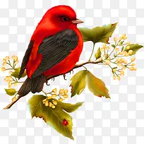 ��ɫ���»���װ��ͼ��-������