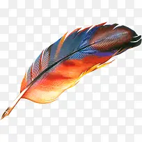 ��ɫ��ë�ز����-������