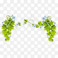 ������Ӱ�ֻ���Ҷ����ɫ��-������