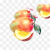 水果-空若网 水果-空若网