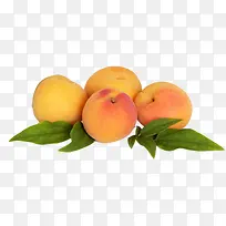 ˮ��-������