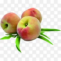 ����ˮ�����߲�ˮ��-������