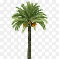 �㽶��png�ز�-������