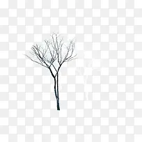 枯树-空若网 枯树-空若网