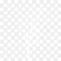 ��֦-������