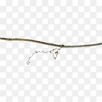 木杆树枝枯树-空若网 木杆树枝枯树-空若网