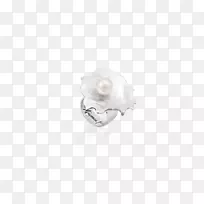 珠宝银宝石牡蛎环珍珠壳-空若网 珠宝银宝石牡蛎环珍珠壳-空若网