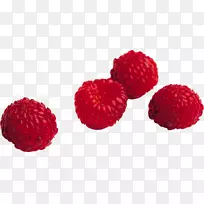 ��ɫ������ͼ��-rraspberry pngͼ��-������