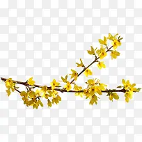 手绘黄色花卉时尚海报-空若网 手绘黄色花卉时尚海报-空若网